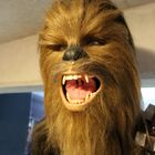 Chewbacca ganz nah sein