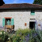 Chez Angèle.........