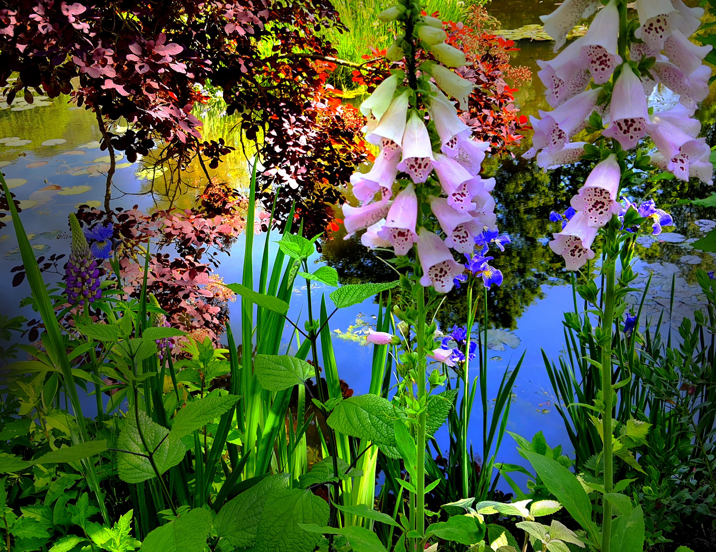 Chez Claude Monet à Giverny  