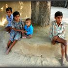 Chez les Bichnoïs ( tribu du Nord Rajasthan ) 