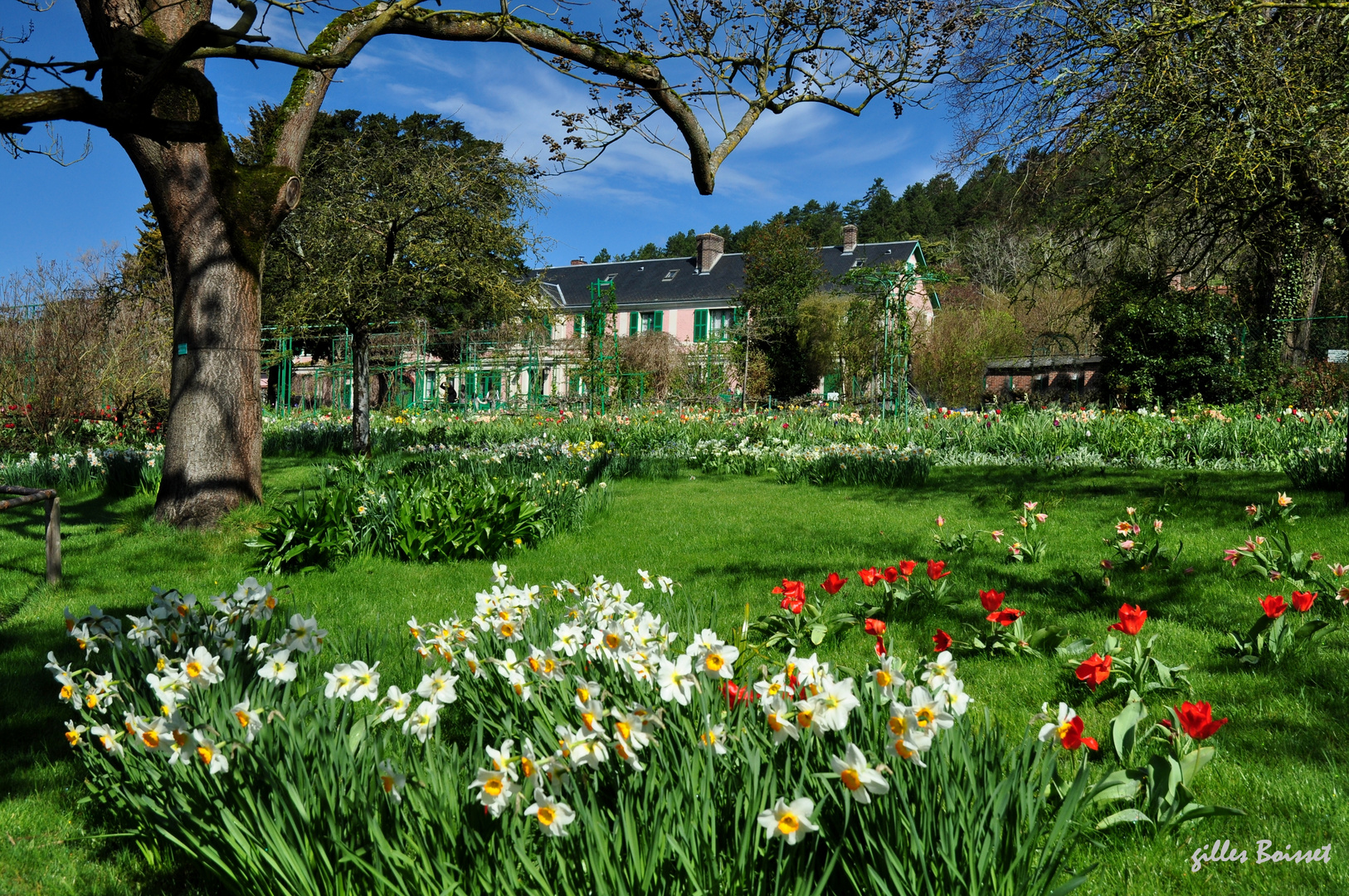 chez Monet, le clos normand