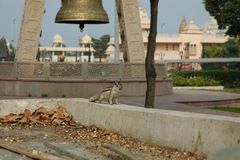 Chhatapur (4)