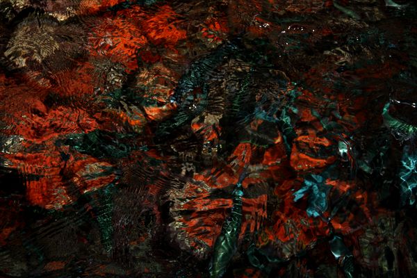 Chi distingue lo affermi