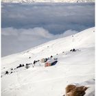 Chi ha voglia di tornare nella nebbia