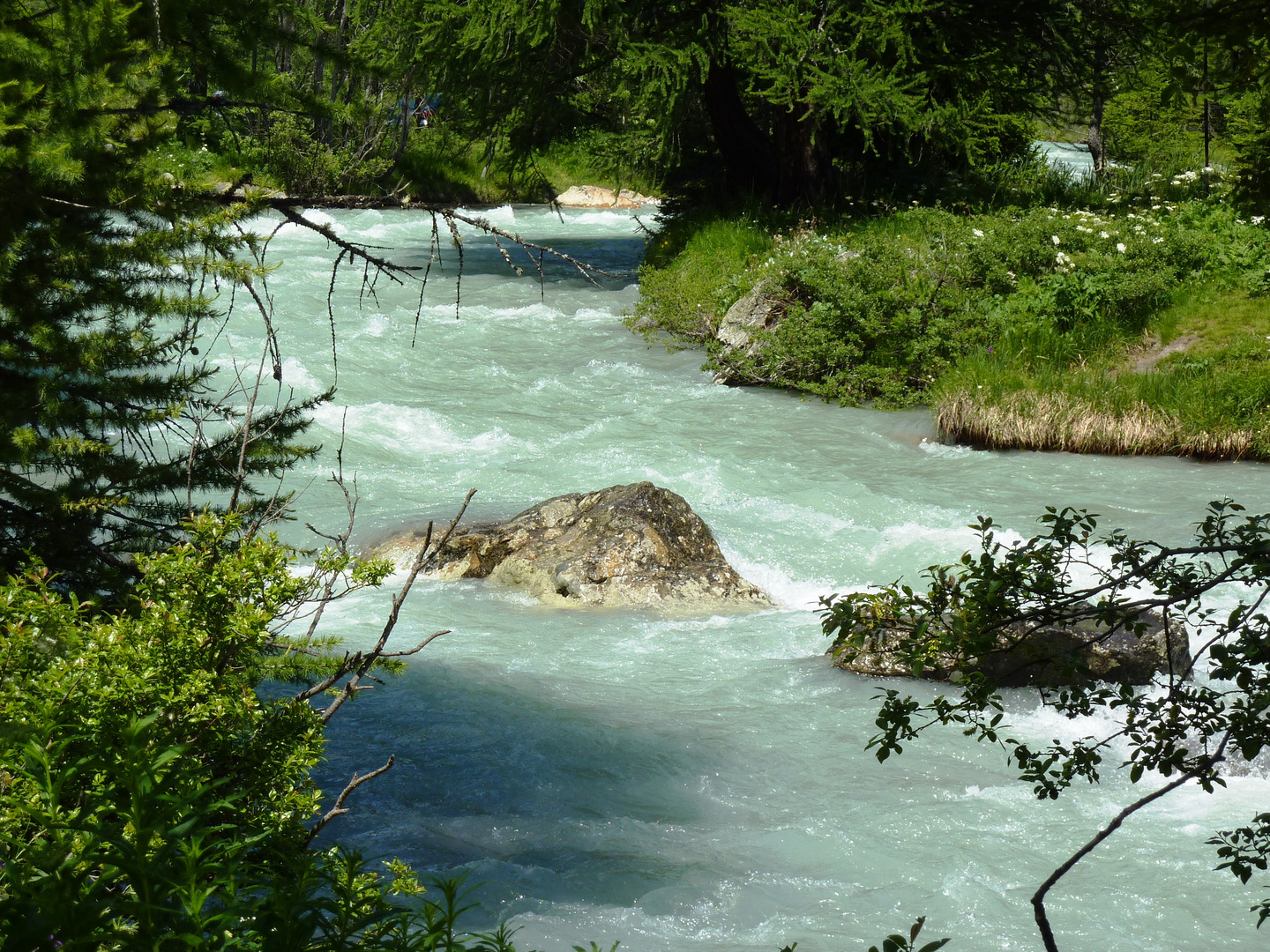 Chi ha voglia di un bel tuffo?