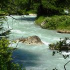 Chi ha voglia di un bel tuffo?