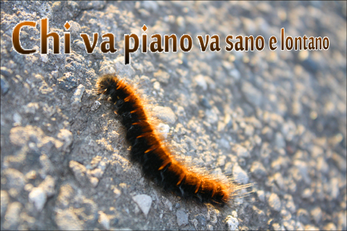 chi va piano