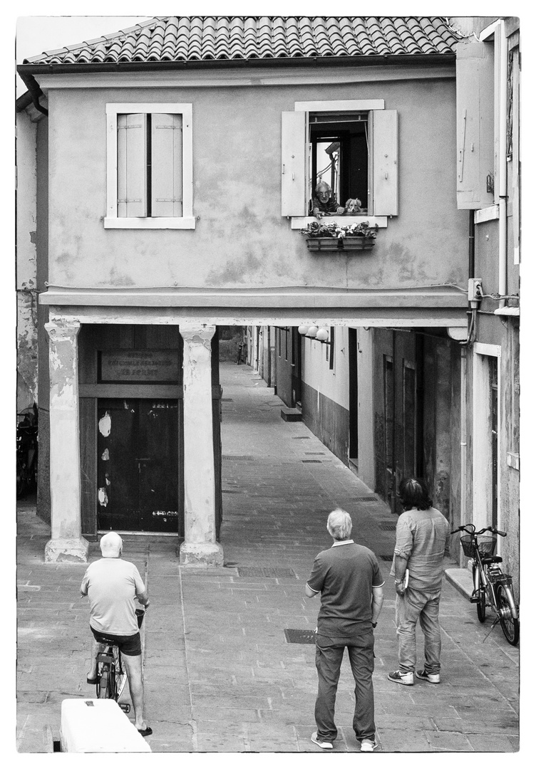 chiacchiere con il cane