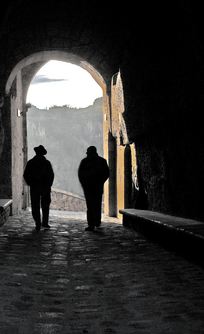 CHIACCHIERE SUL CAMMINO / TALKING & WALKING