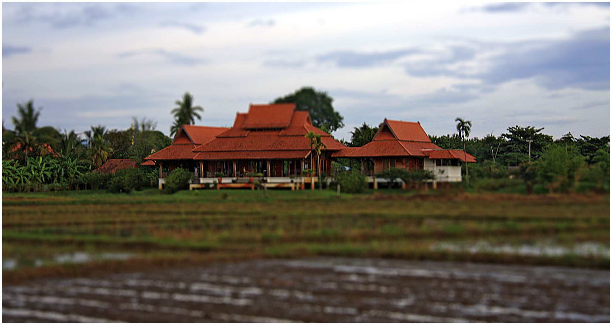 Chiang Mai