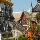 Chiang Mai, Old City: Impressions 3