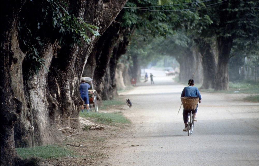 [ … Chiang Rai - Cyclist ]