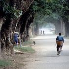 [ … Chiang Rai - Cyclist ]