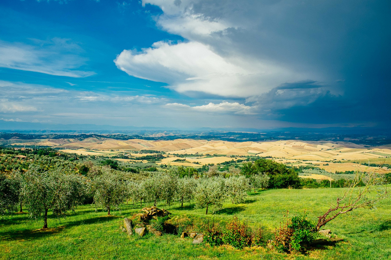 Chianni - il nuvole (II)