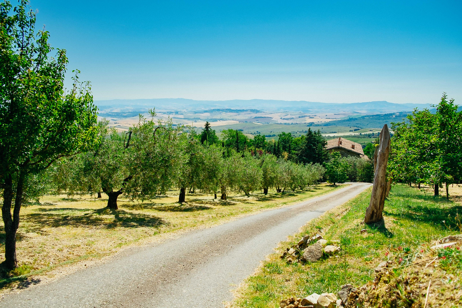 Chianni - Podere 