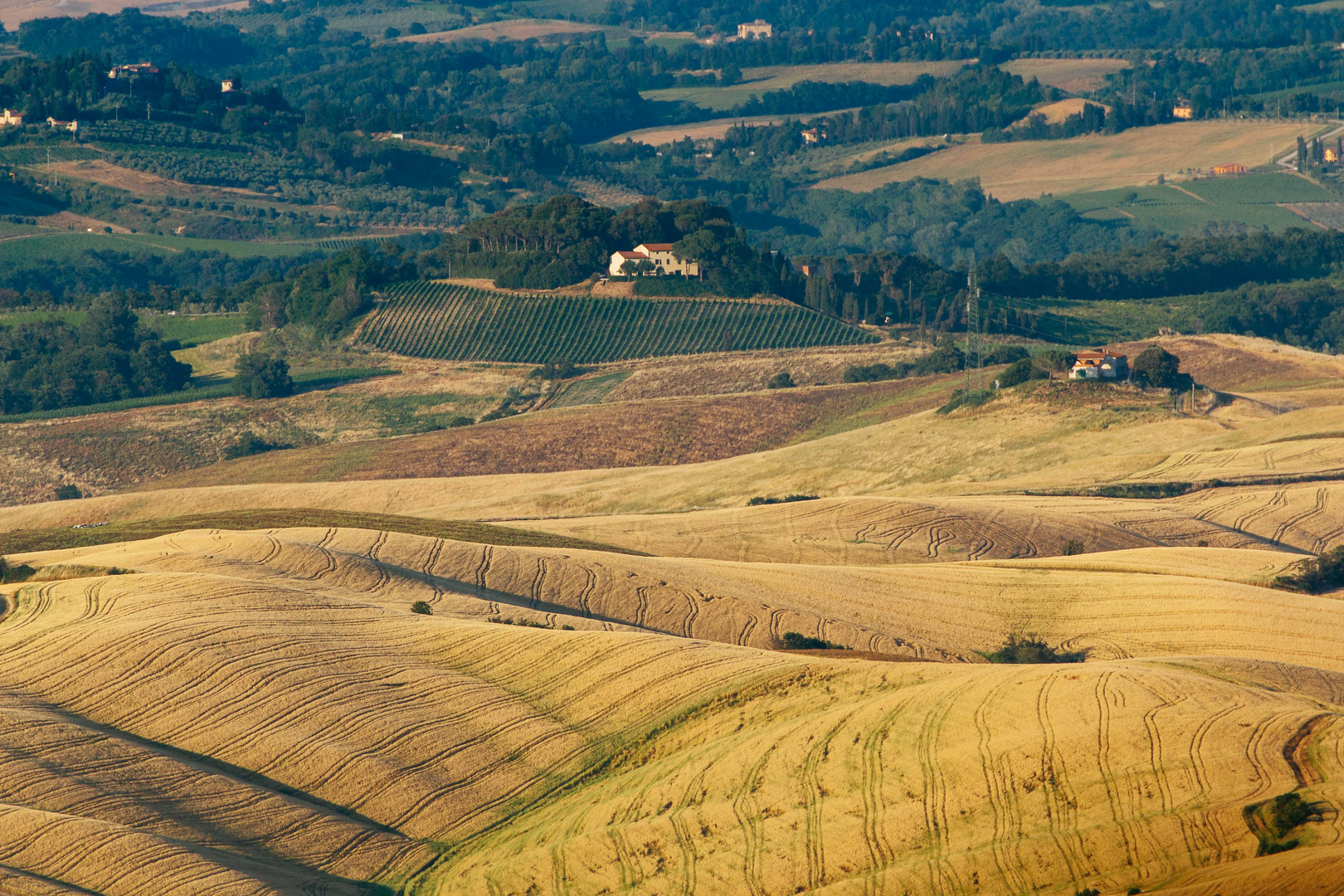 Chianni - Tuscany hills (II)