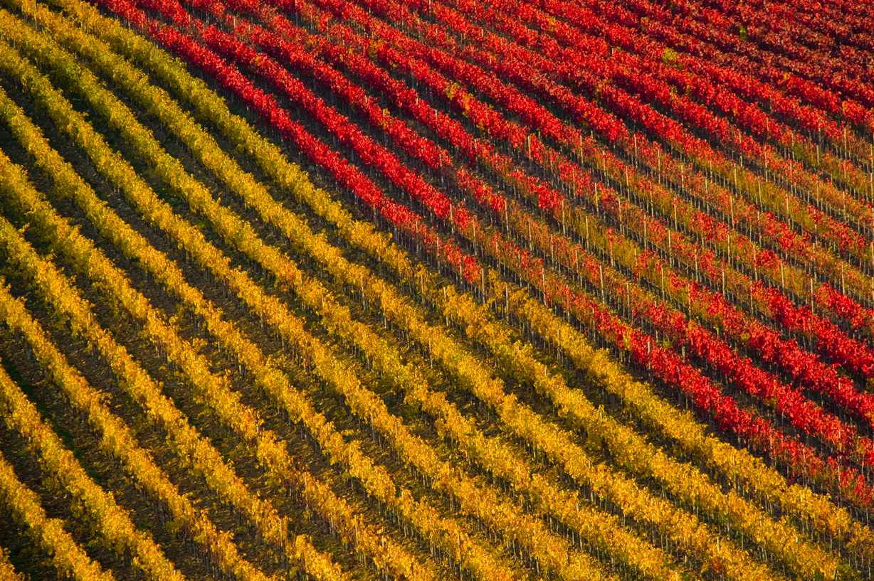 Chianti autunnale