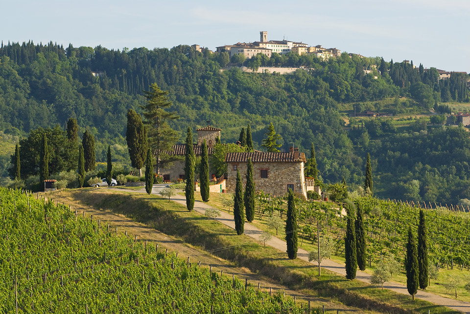 Chianti Classico