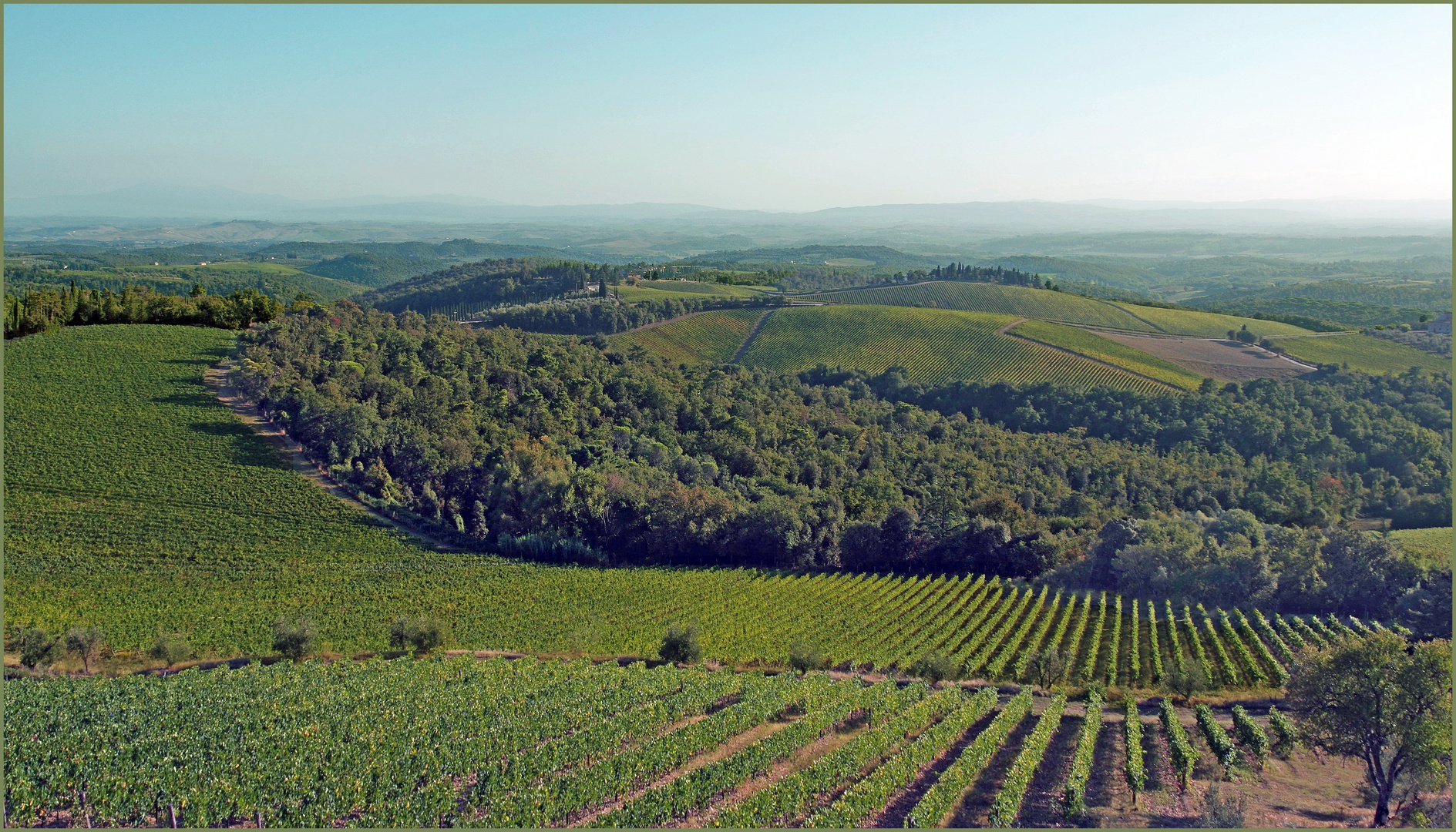 "Chianti classico"  à perte de vue .....