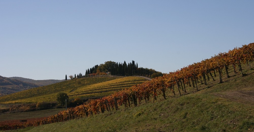 Chianti Gebiet im Herbst 2007