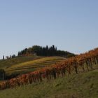 Chianti Gebiet im Herbst 2007