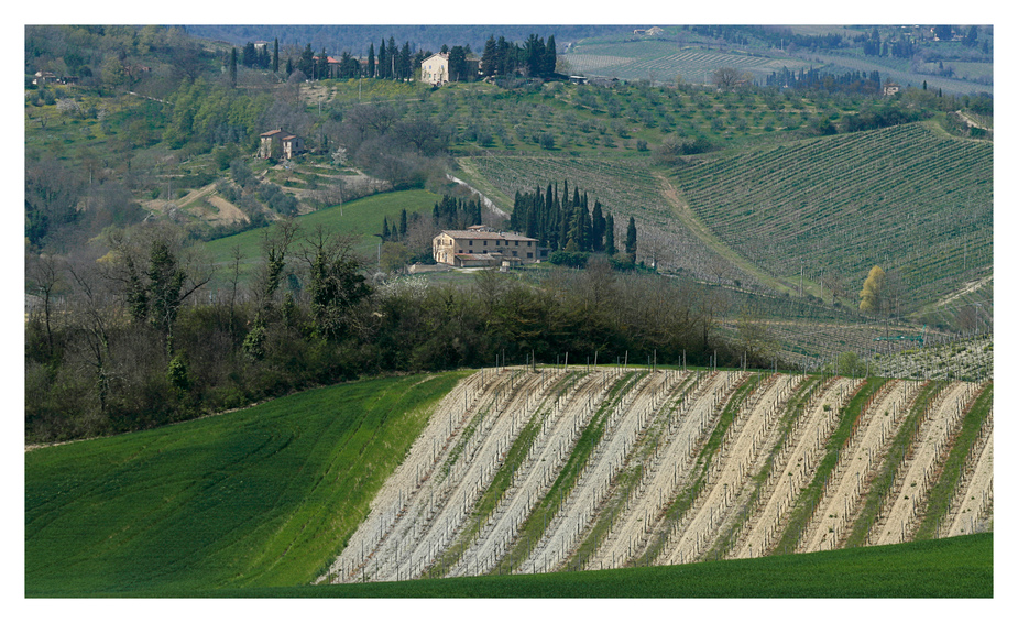 - chianti I - eine reise durch die toskana -