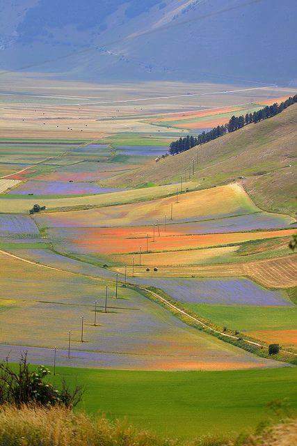 chianti multicolors