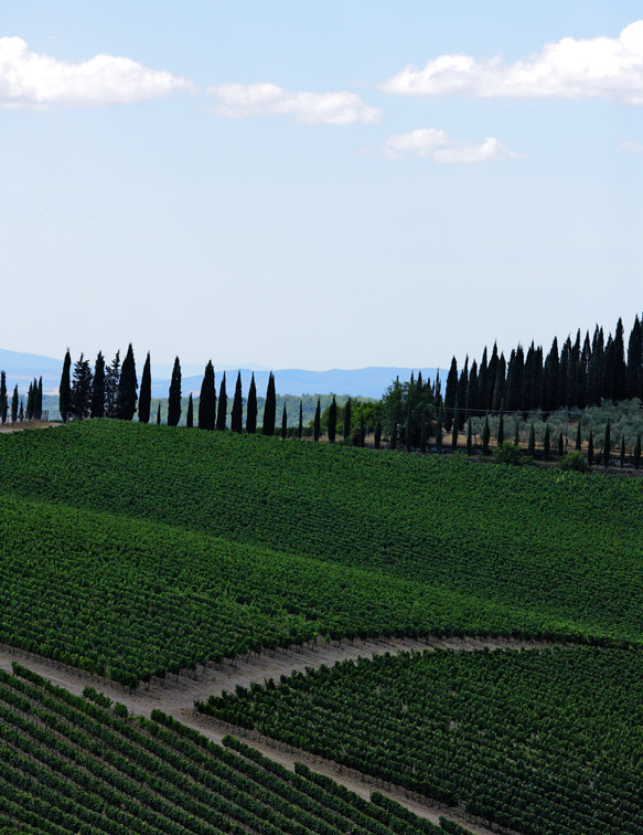 Chianti - Toscana