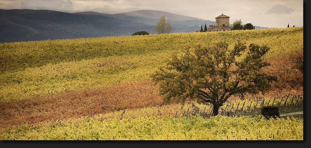 Chianti - Toskana