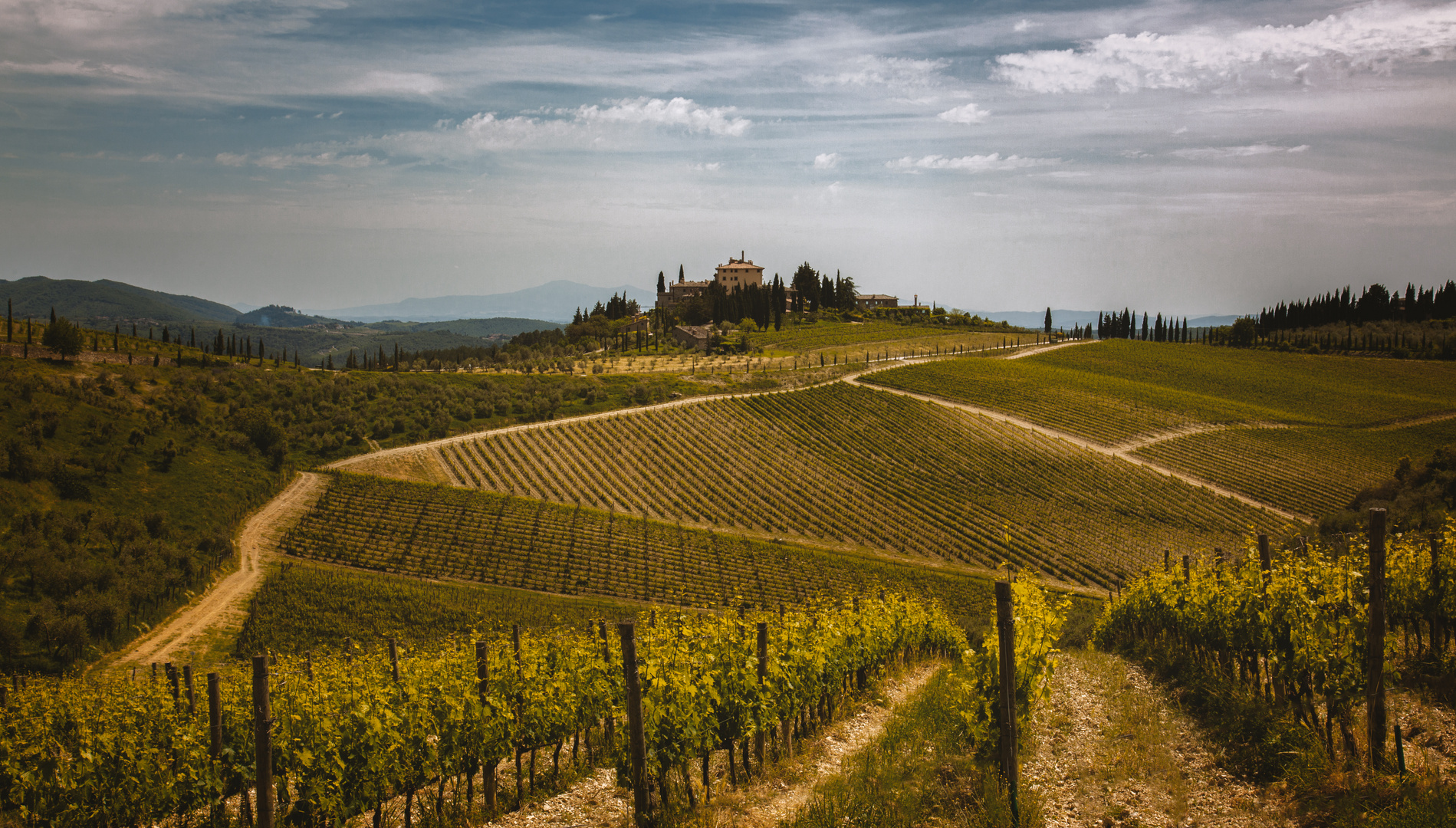 Chianti Winery