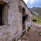 Chiappera, Val di Maira