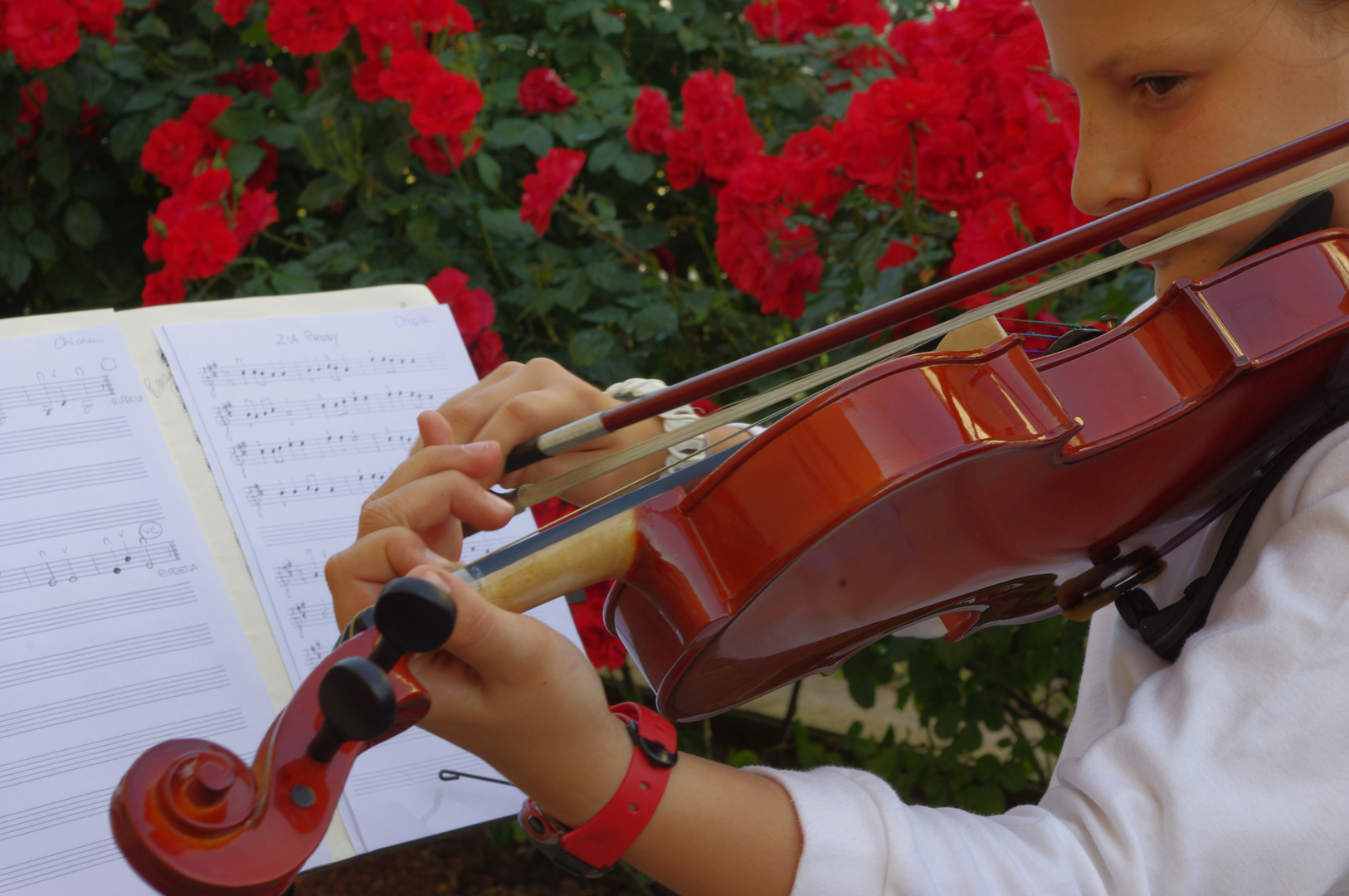 chiara e il violino