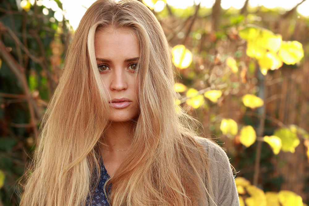 Chiara illuminates the bushes in autumn