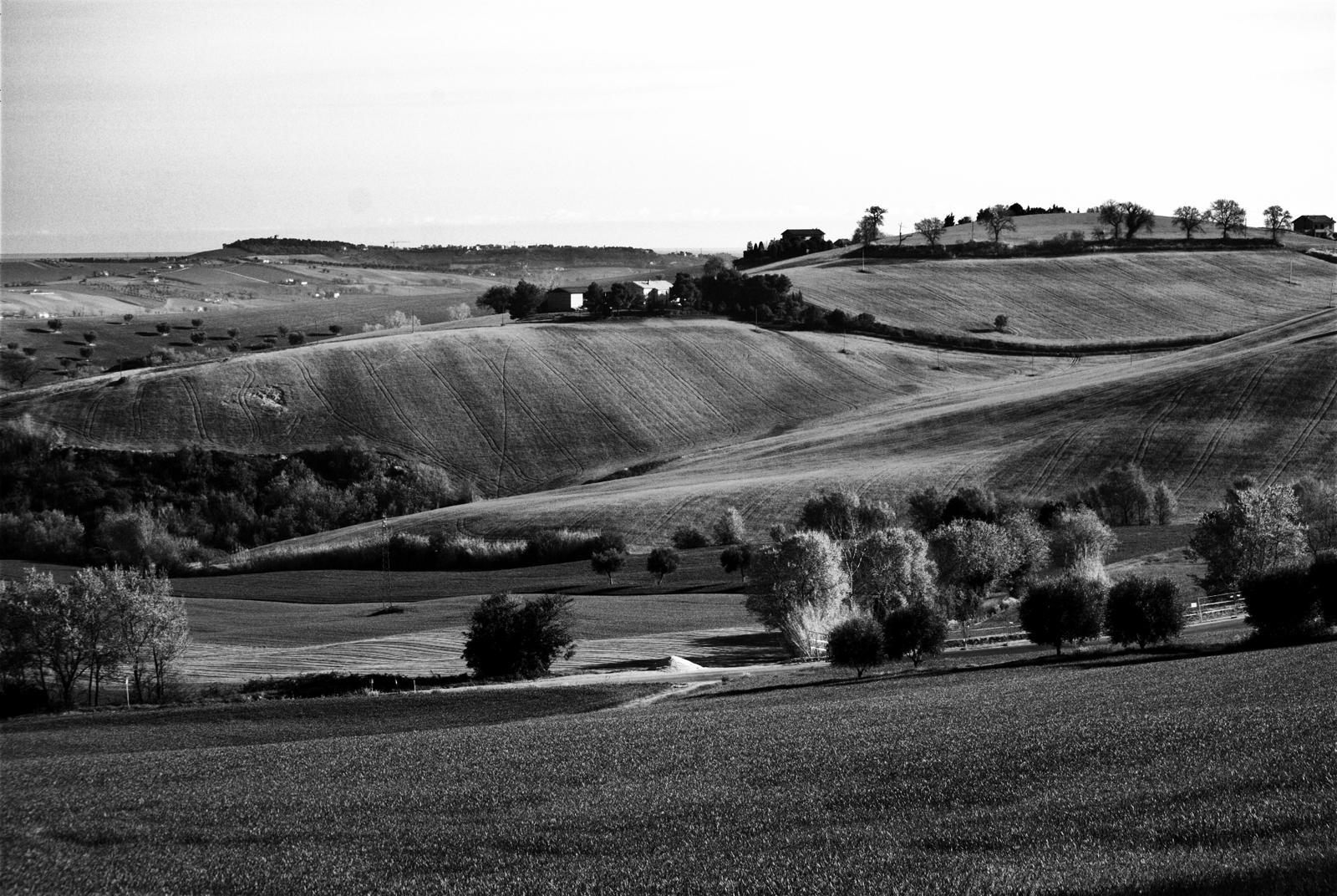 chiaroscuri