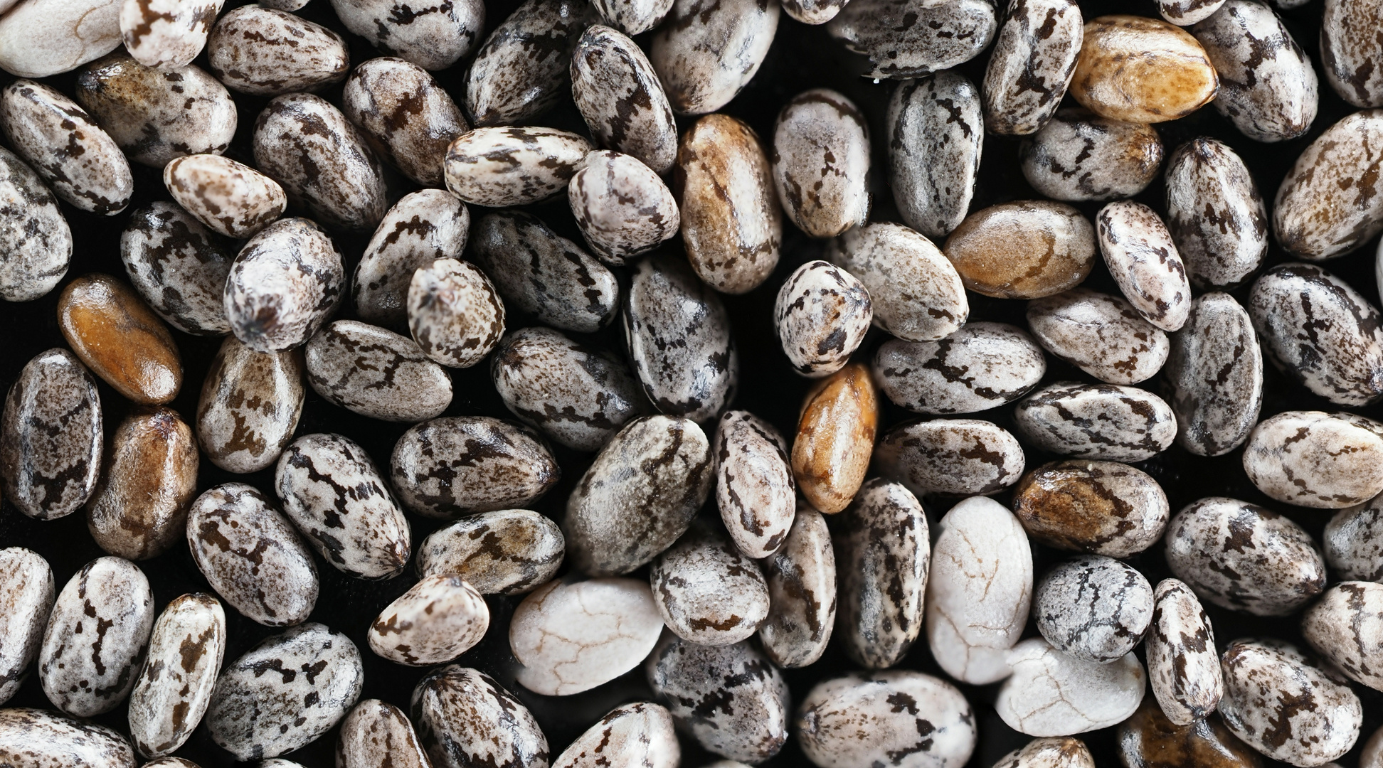 Chiasamen Foto & Bild spezial, motive, techniken Bilder auf