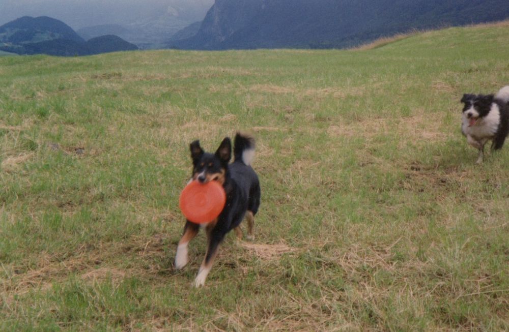 Chica und Bobberli