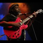 Chicago Blues: A Living History - Lurrie Bell