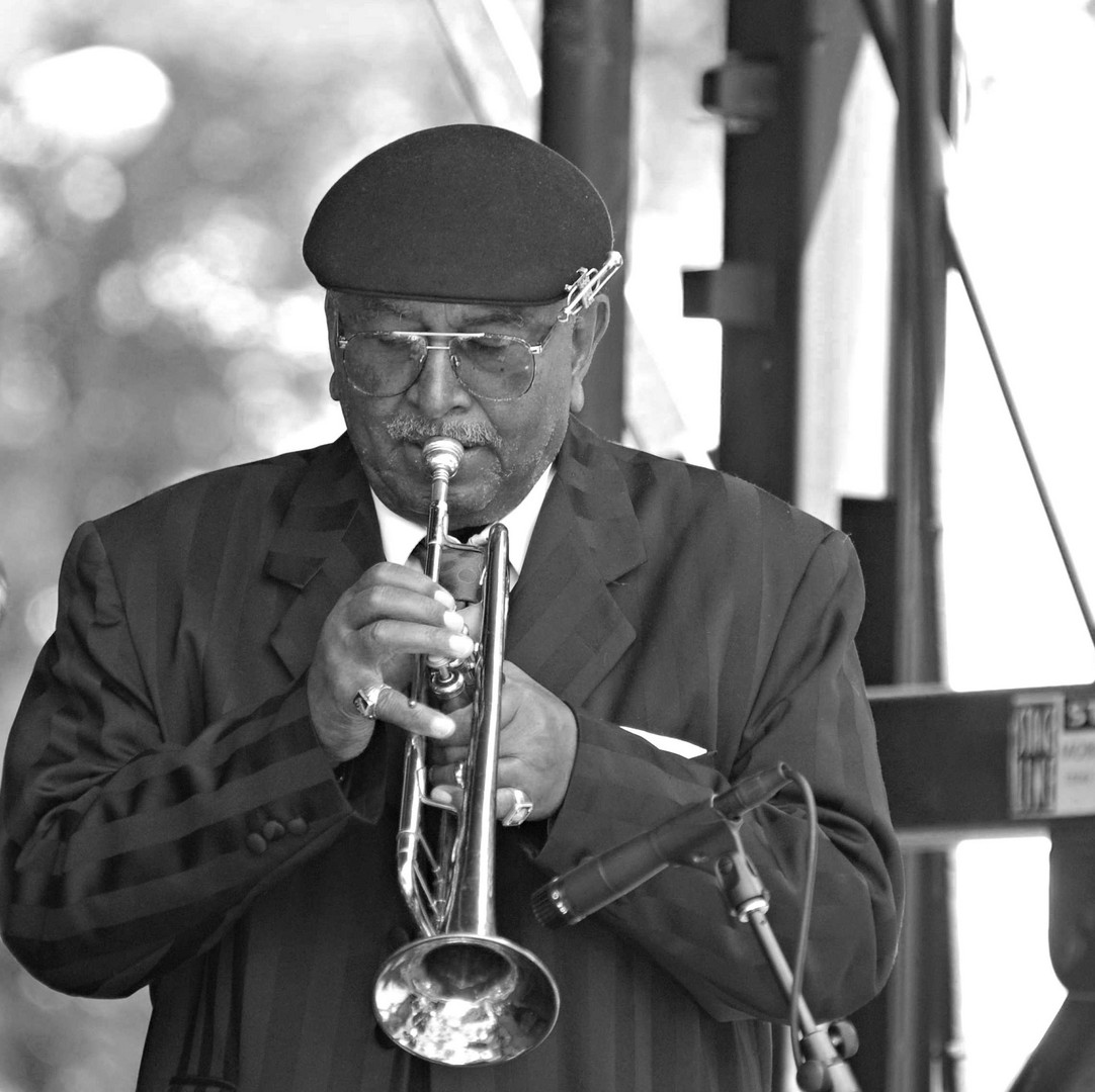 Chicago Blues Festival