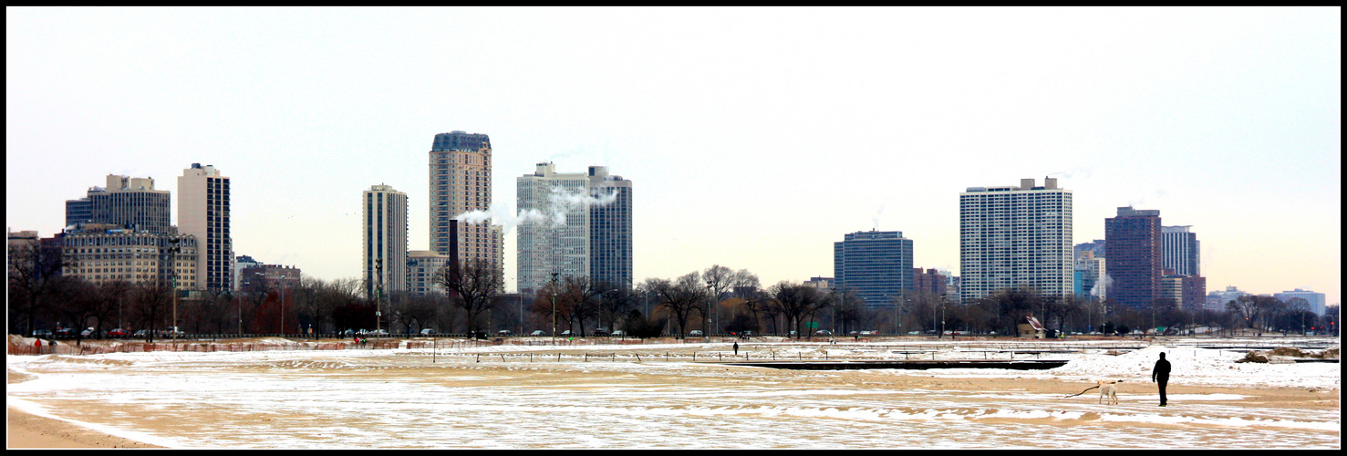 Chicago im Winter II