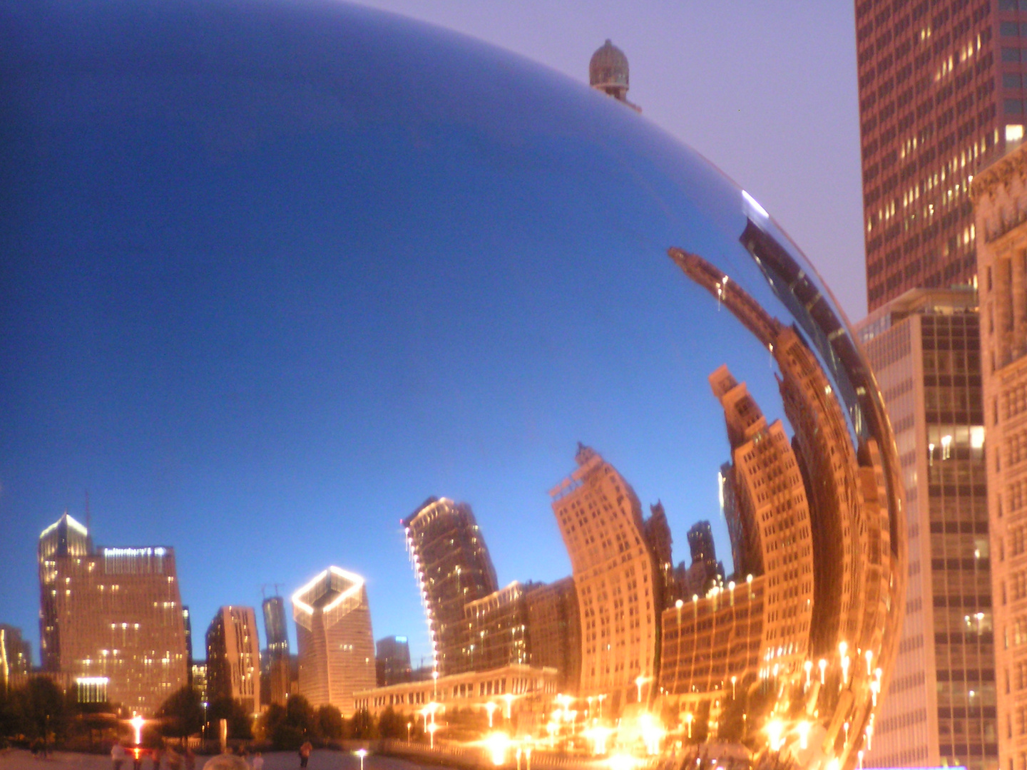 Chicago in the Bean