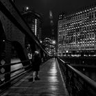 Chicago Night Walk