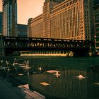 chicago vi