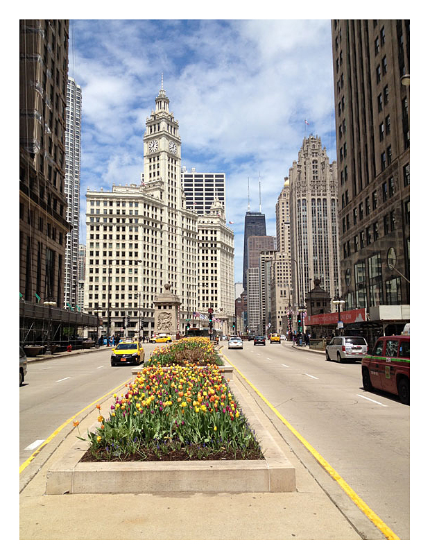 - chicago wrigley building -