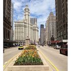 - chicago wrigley building -