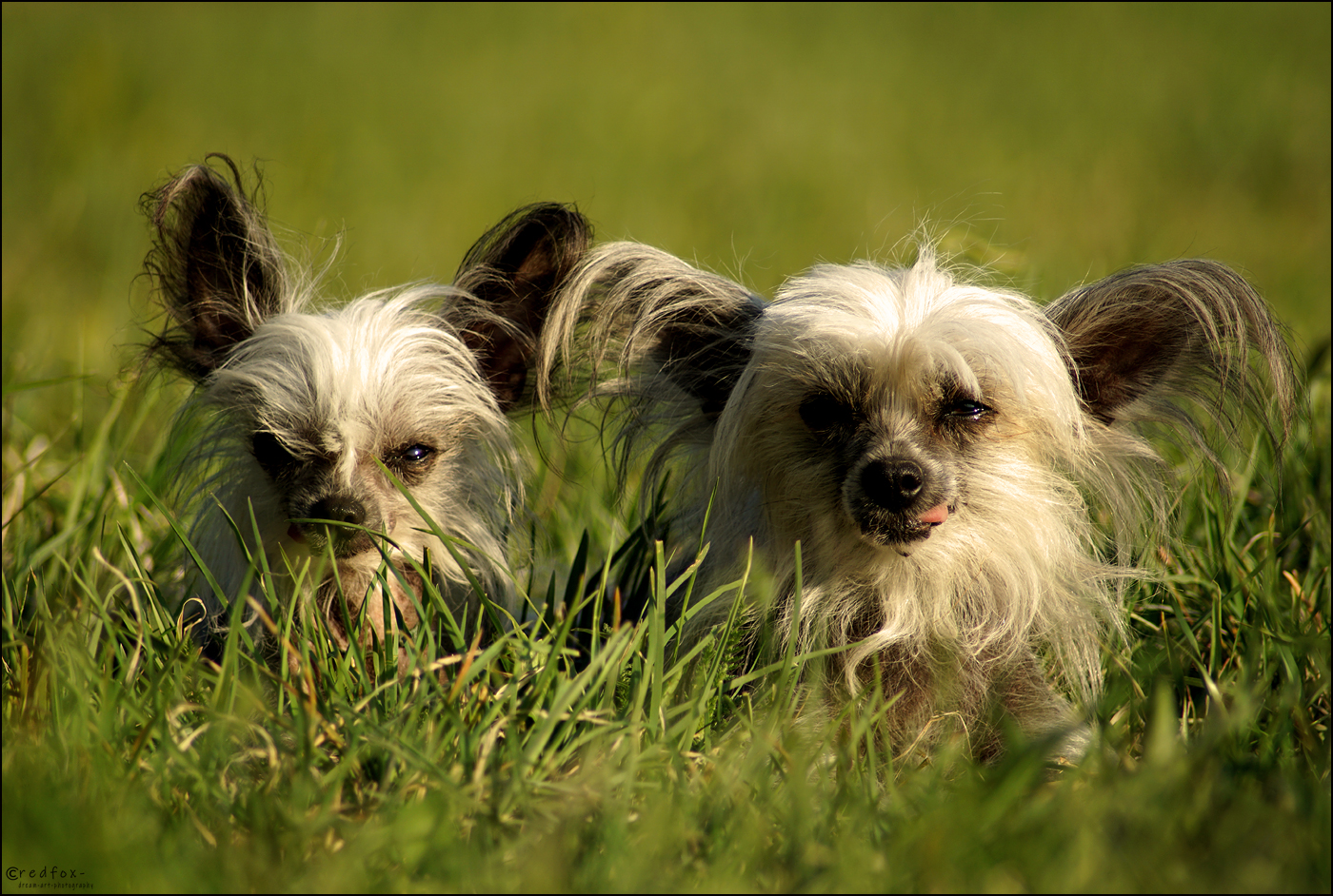 Chicca with her daughter Salome