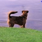 Chicco - Ob das Wasser wohl tief ist?