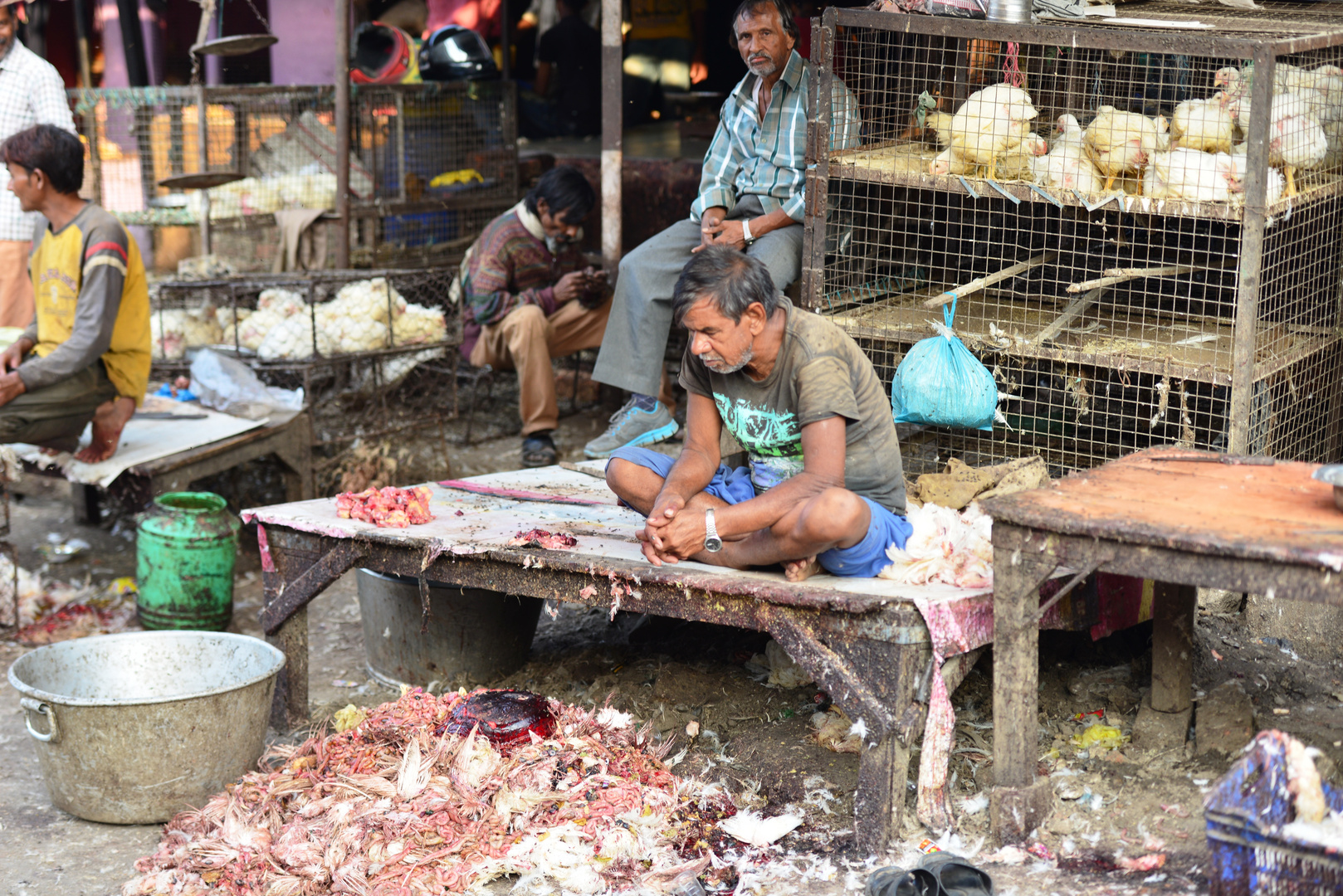 Chicken Market