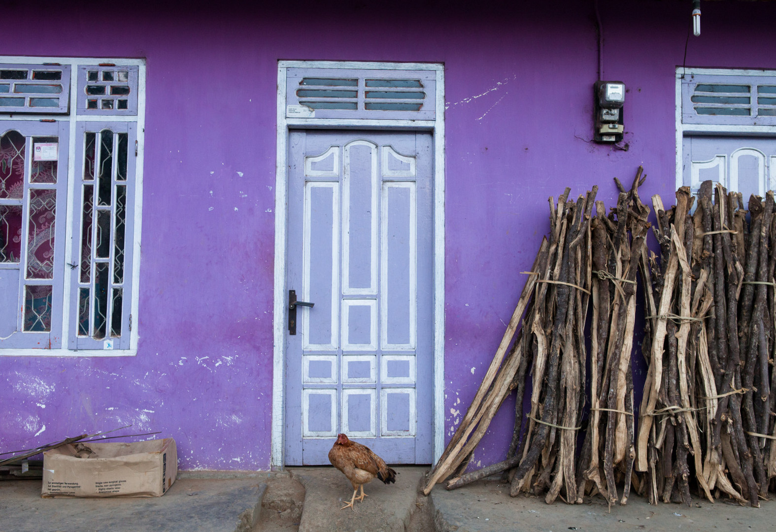 Chickens Purple Door