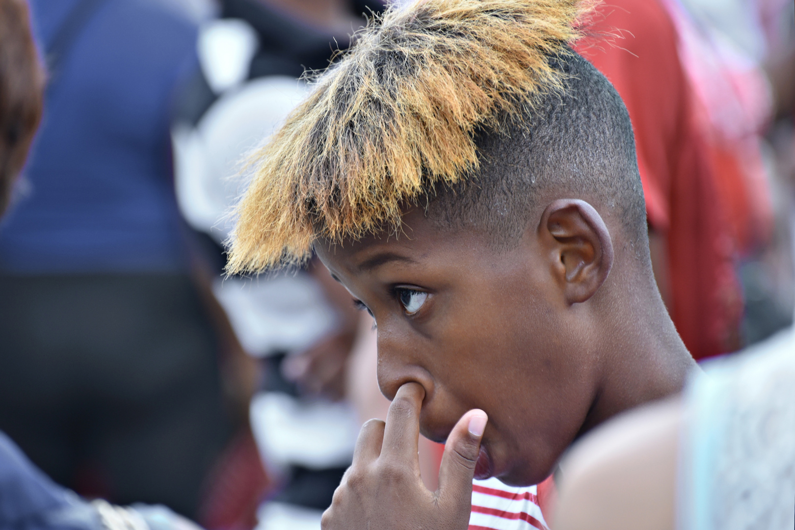 chico Foto & Bild north america, central america, caribbean sea