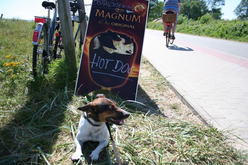 Chico wartet auf sein Hot  Dog....:))))